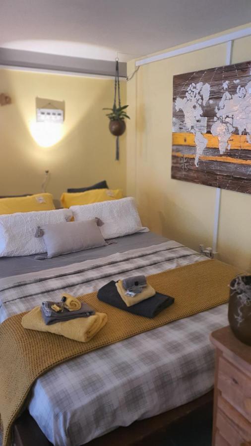 Ravissant Studio Neuf, Entierement Equipe, Fonctionnel De 40 M2 Avec Entree Independante Dans La Campagne Campagnes Massonnens Dış mekan fotoğraf